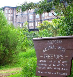 Treetops-in-Aberdare-National-Park